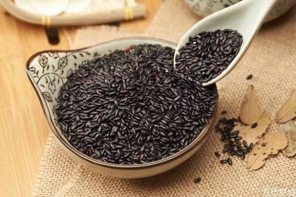 黑芝麻可以怎么吃呢 黑芝麻怎么吃比較營養(yǎng)呢 黑芝麻可以怎么吃呢 黑芝麻怎么吃比較營養(yǎng)呢