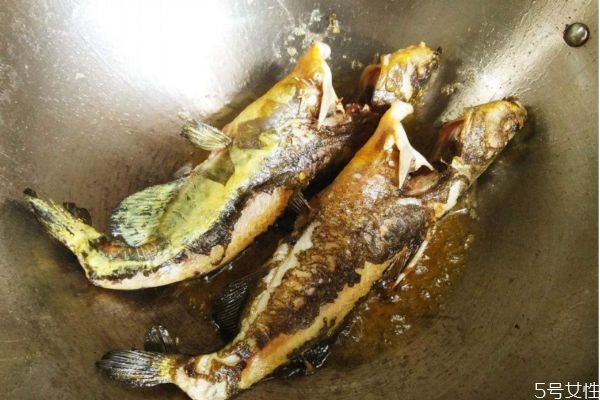 吃黃顙魚(yú)有什么注意的呢 黃顙魚(yú)適合什么人群呢