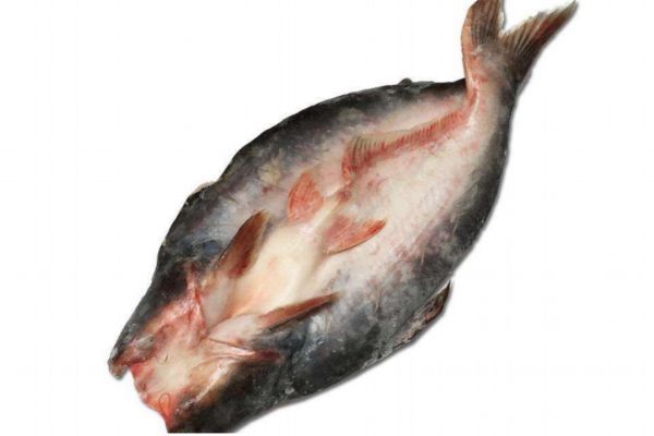 什么是龍利魚呢 龍利魚有什么營(yíng)養(yǎng)價(jià)值呢 什么是龍利魚呢 龍利魚有什么營(yíng)養(yǎng)價(jià)值呢