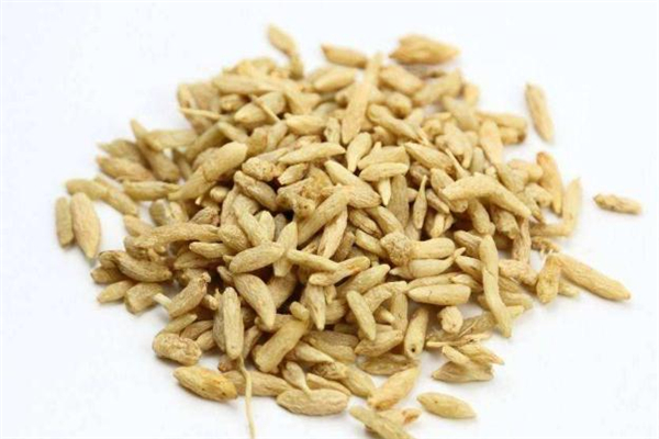 麥冬怎么泡水 麥冬泡水可以長期喝嗎 麥冬怎么泡水 麥冬泡水可以長期喝嗎