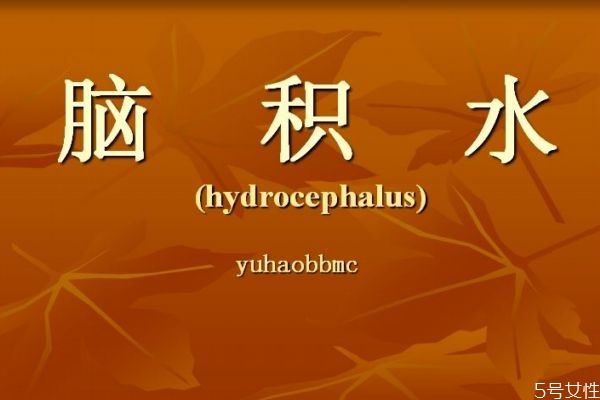 什么是腦積水呢 腦積水有什么危害呢 什么是腦積水呢 腦積水有什么危害呢