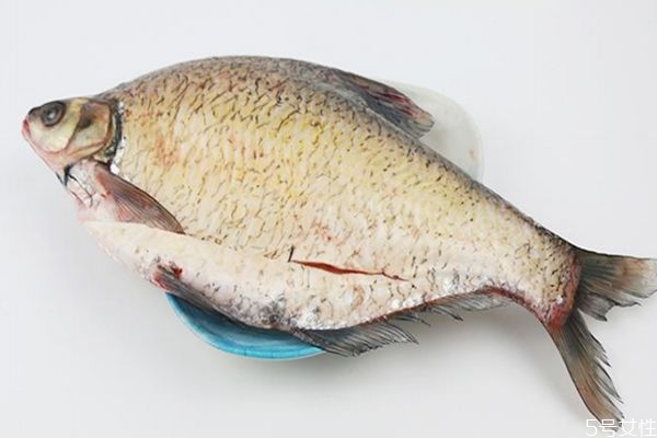 什么是武昌魚呢 武昌魚有什么營(yíng)養(yǎng)價(jià)值呢 什么是武昌魚呢 武昌魚有什么營(yíng)養(yǎng)價(jià)值呢