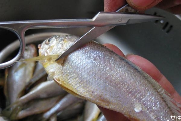 什么是小黃魚呢 小黃魚有什么營(yíng)養(yǎng)價(jià)值呢