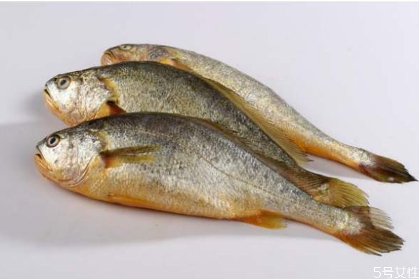 什么是黃花魚呢 黃花魚有什么營養(yǎng)價值呢