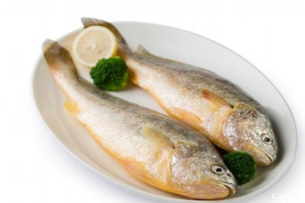 吃黃花魚有什么好處呢 黃花魚怎么做好吃呢 吃黃花魚有什么好處呢 黃花魚怎么做好吃呢