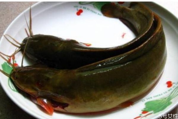 塘鲺煲黑豆的功效是什么呢 塘鲺孕婦可以吃嗎 塘鲺煲黑豆的功效是什么呢 塘鲺孕婦可以吃嗎