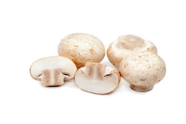 口蘑能和雞蛋一起吃嗎 營(yíng)養(yǎng)又美味 口蘑能和雞蛋一起吃嗎 營(yíng)養(yǎng)又美味