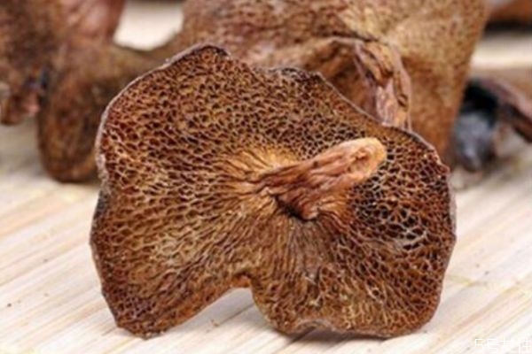 松蘑的品種有哪些 松蘑的品種有哪些