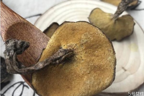 松蘑的品種有哪些 松蘑的品種有哪些