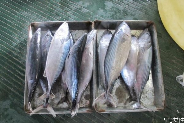 吃竹莢魚有什么注意的呢 孕婦可以吃竹莢魚嗎 吃竹莢魚有什么注意的呢 孕婦可以吃竹莢魚嗎