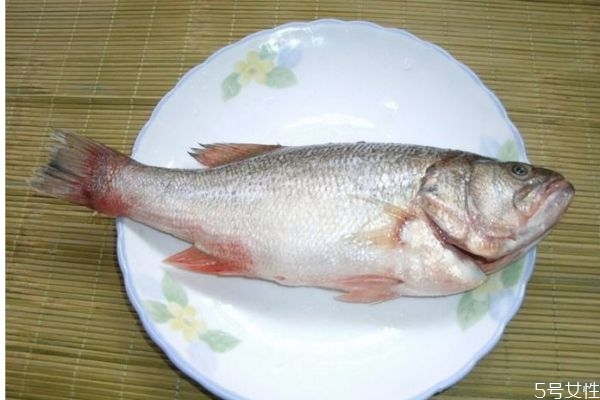 什么是海鱸魚(yú)呢 海鱸魚(yú)有什么營(yíng)養(yǎng)價(jià)值呢 什么是海鱸魚(yú)呢 海鱸魚(yú)有什么營(yíng)養(yǎng)價(jià)值呢