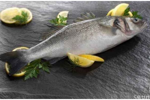 什么是海鱸魚(yú)呢 海鱸魚(yú)有什么營(yíng)養(yǎng)價(jià)值呢 什么是海鱸魚(yú)呢 海鱸魚(yú)有什么營(yíng)養(yǎng)價(jià)值呢