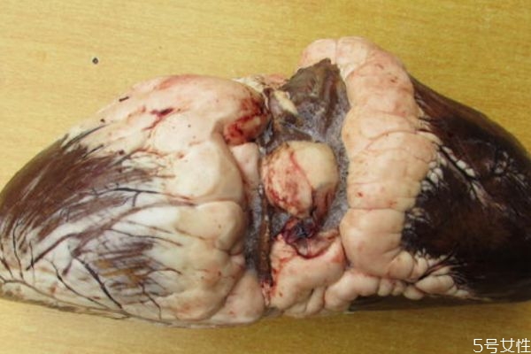 牛心和牛肉的營養(yǎng)價(jià)值 牛心和牛肉的區(qū)別 牛心和牛肉的營養(yǎng)價(jià)值 牛心和牛肉的區(qū)別