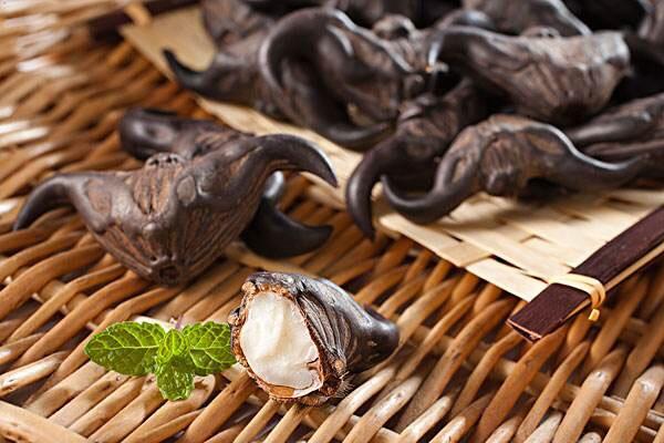 菱角煮多長(zhǎng)時(shí)間可以熟 煮菱角放鹽的原因 菱角煮多長(zhǎng)時(shí)間可以熟 煮菱角放鹽的原因