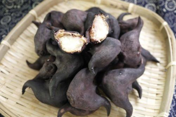 菱角煮多長(zhǎng)時(shí)間可以熟 煮菱角放鹽的原因 菱角煮多長(zhǎng)時(shí)間可以熟 煮菱角放鹽的原因