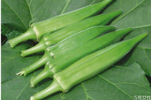 吃咖啡黃葵有什么好處呢 咖啡黃葵怎么做好吃呢 吃咖啡黃葵有什么好處呢 咖啡黃葵怎么做好吃呢