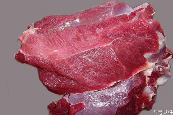 什么人不能吃鹿肉呢 鹿肉可以天天吃嗎 什么人不能吃鹿肉呢 鹿肉可以天天吃嗎