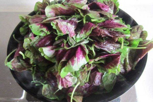 什么是紅莧菜呢 紅莧菜有什么營養(yǎng)價值呢 什么是紅莧菜呢 紅莧菜有什么營養(yǎng)價值呢