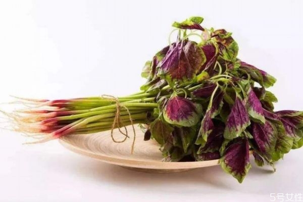 什么是紅莧菜呢 紅莧菜有什么營養(yǎng)價值呢 什么是紅莧菜呢 紅莧菜有什么營養(yǎng)價值呢