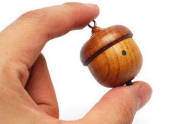 什么是橡果呢 橡果可以吃嗎 什么是橡果呢 橡果可以吃嗎