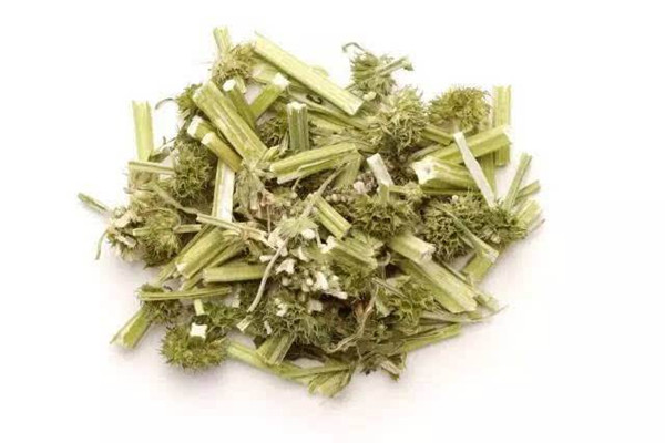 益母草可以治療宮寒嗎 宮寒什么時候喝益母草好 益母草可以治療宮寒嗎 宮寒什么時候喝益母草好