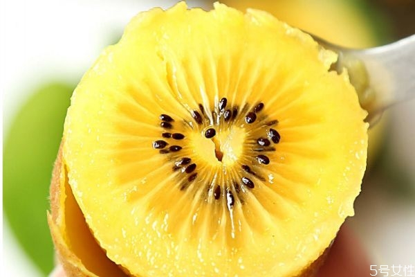 金果獼猴桃有什么營(yíng)養(yǎng)價(jià)值呢 獼猴桃產(chǎn)自哪里呢 金果獼猴桃有什么營(yíng)養(yǎng)價(jià)值呢 獼猴桃產(chǎn)自哪里呢