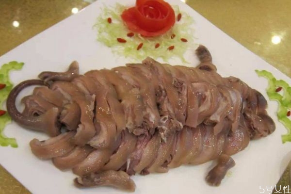 被竹鼠咬了需打預防針嗎 小竹鼠公母難辨 被竹鼠咬了需打預防針嗎 小竹鼠公母難辨