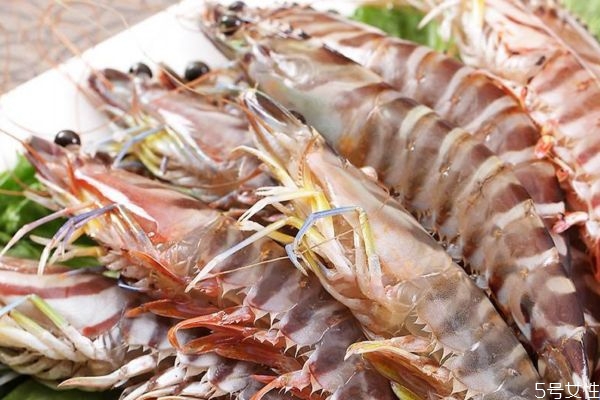 什么是竹節(jié)蝦呢 竹節(jié)蝦有什么營(yíng)養(yǎng)價(jià)值呢 什么是竹節(jié)蝦呢 竹節(jié)蝦有什么營(yíng)養(yǎng)價(jià)值呢