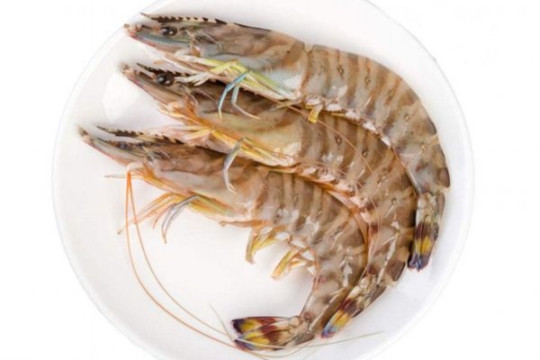 什么是竹節(jié)蝦呢 竹節(jié)蝦有什么營(yíng)養(yǎng)價(jià)值呢 什么是竹節(jié)蝦呢 竹節(jié)蝦有什么營(yíng)養(yǎng)價(jià)值呢