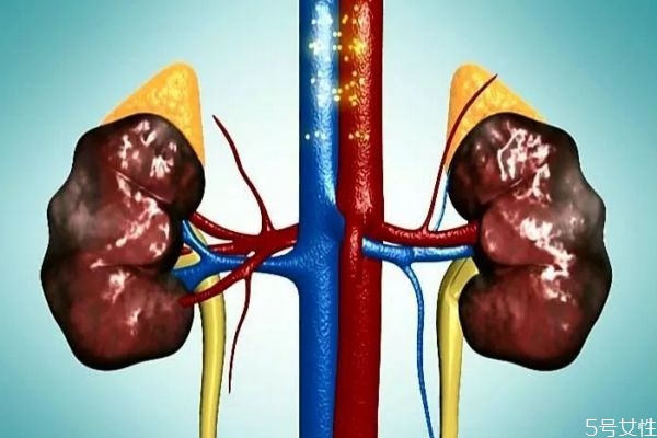 什么是尿毒癥呢 尿毒癥有什么危害呢
