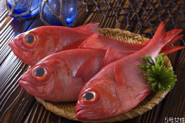 金目鯛有什么營養(yǎng)價值呢 金目鯛怎么做好吃呢 金目鯛有什么營養(yǎng)價值呢 金目鯛怎么做好吃呢