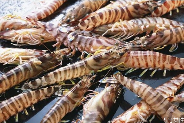 吃竹節(jié)蝦會(huì)長(zhǎng)胖嗎 減肥可以吃竹節(jié)蝦嗎 吃竹節(jié)蝦會(huì)長(zhǎng)胖嗎 減肥可以吃竹節(jié)蝦嗎