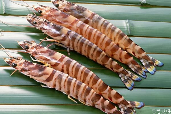 食用竹節(jié)蝦有哪些注意事項(xiàng) 吃死竹節(jié)蝦有什么害處嗎 食用竹節(jié)蝦有哪些注意事項(xiàng) 吃死竹節(jié)蝦有什么害處嗎