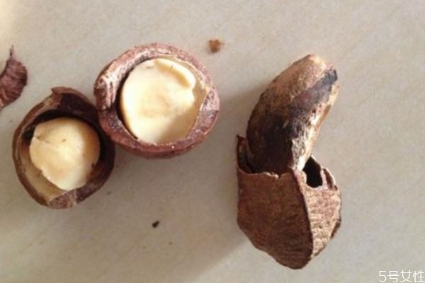 鮑魚果的熱量高嗎 減肥可以吃鮑魚果嗎 鮑魚果的熱量高嗎 減肥可以吃鮑魚果嗎