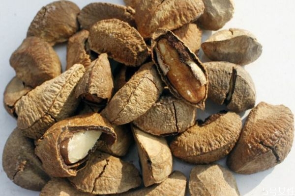 鮑魚果的營養(yǎng)價值 鮑魚果的功效與作用 鮑魚果的營養(yǎng)價值 鮑魚果的功效與作用