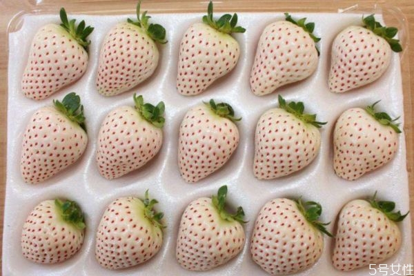 吃菠蘿莓有什么好處呢 吃菠蘿莓有什么注意的呢 吃菠蘿莓有什么好處呢 吃菠蘿莓有什么注意的呢