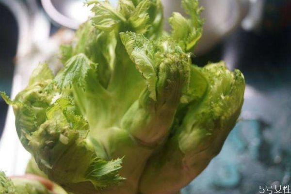 什么是兒菜呢 兒菜有什么營(yíng)養(yǎng)價(jià)值呢 什么是兒菜呢 兒菜有什么營(yíng)養(yǎng)價(jià)值呢