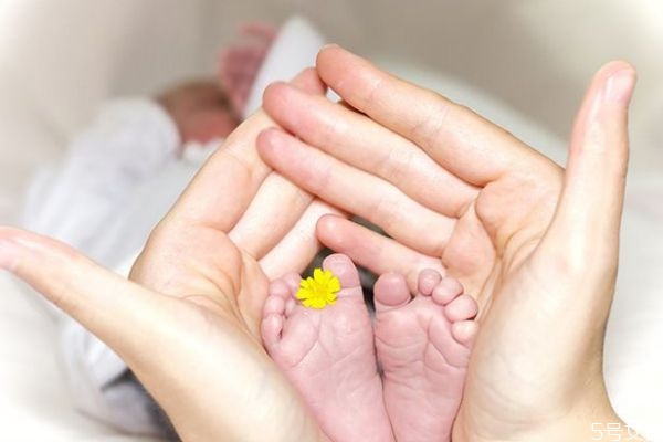 試管嬰兒有性還是無(wú)性 試管嬰兒有宮外孕嗎