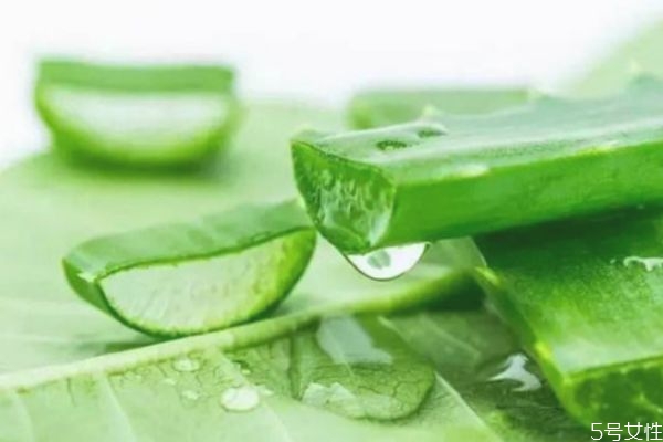 擦完蘆薈膠還可以擦其它護膚品嗎 蘆薈膠與護膚品順序 擦完蘆薈膠還可以擦其它護膚品嗎 蘆薈膠與護膚品順序