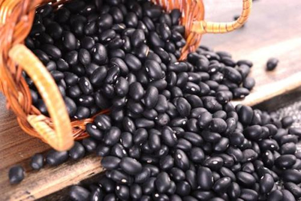 黑豆怎么保存不易有蟲 吃黑豆要注意什么