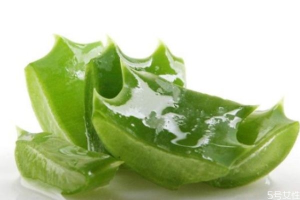 蘆薈膠可以涂著睡覺嗎 涂了蘆薈膠要洗掉嗎 蘆薈膠可以涂著睡覺嗎 涂了蘆薈膠要洗掉嗎