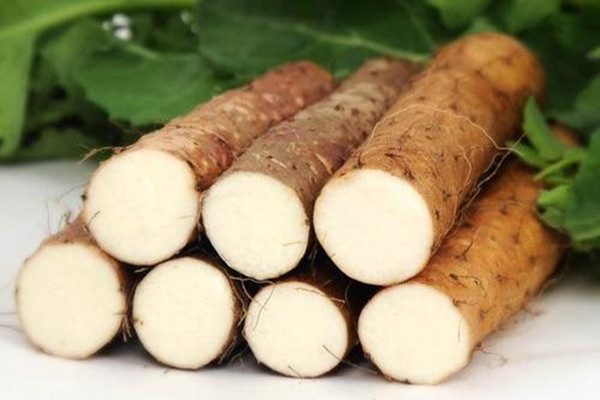 怎么辨別山藥壞沒壞 山藥怎么保存不會壞 怎么辨別山藥壞沒壞 山藥怎么保存不會壞