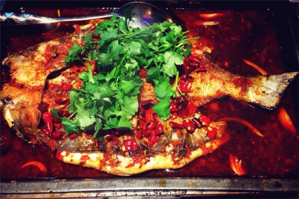 清江魚和鯰魚的區(qū)別 清江魚和鯰魚哪個好吃