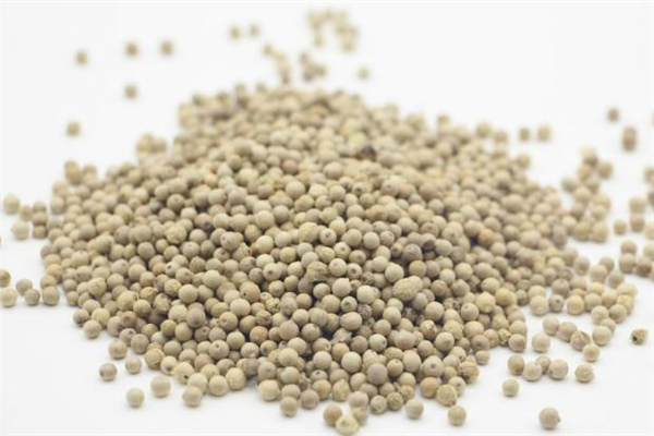 孕婦可以吃白胡椒嗎 孕婦吃白胡椒有什么影響 孕婦可以吃白胡椒嗎 孕婦吃白胡椒有什么影響