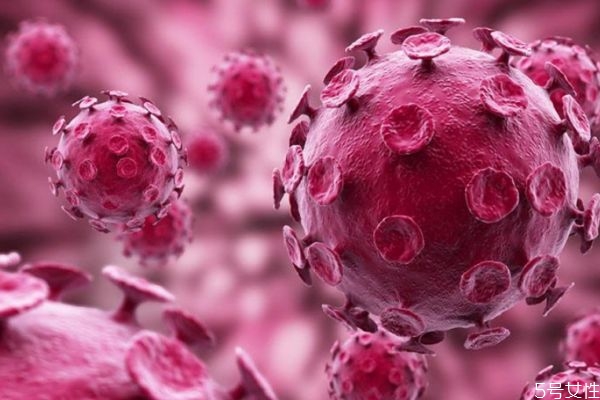 什么是新型冠狀病毒肺炎 新型冠狀病毒肺炎有什么癥狀 什么是新型冠狀病毒肺炎 新型冠狀病毒肺炎有什么癥狀