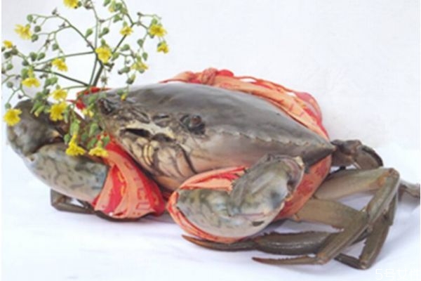 青蟹是什么 吃青蟹的好處