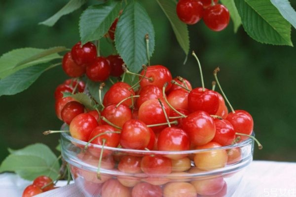 櫻桃酒的釀制方法 櫻桃酒治凍瘡嗎 櫻桃酒的釀制方法 櫻桃酒治凍瘡嗎