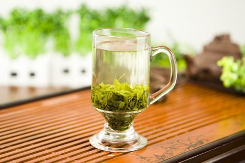 長期喝苦丁茶好嗎 苦丁茶喝多了會怎樣 長期喝苦丁茶好嗎 苦丁茶喝多了會怎樣