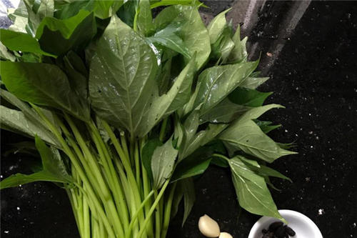 紅薯葉吃了好嗎 紅薯葉怎么吃好 紅薯葉吃了好嗎 紅薯葉怎么吃好