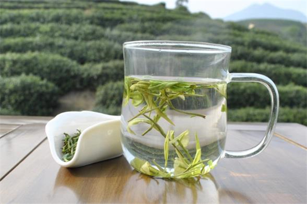 白茶每天喝多少合適 白茶可以經(jīng)常喝嗎 白茶每天喝多少合適 白茶可以經(jīng)常喝嗎